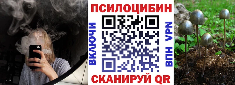Галлюциногенные грибы Psilocybine cubensis  Кызыл 